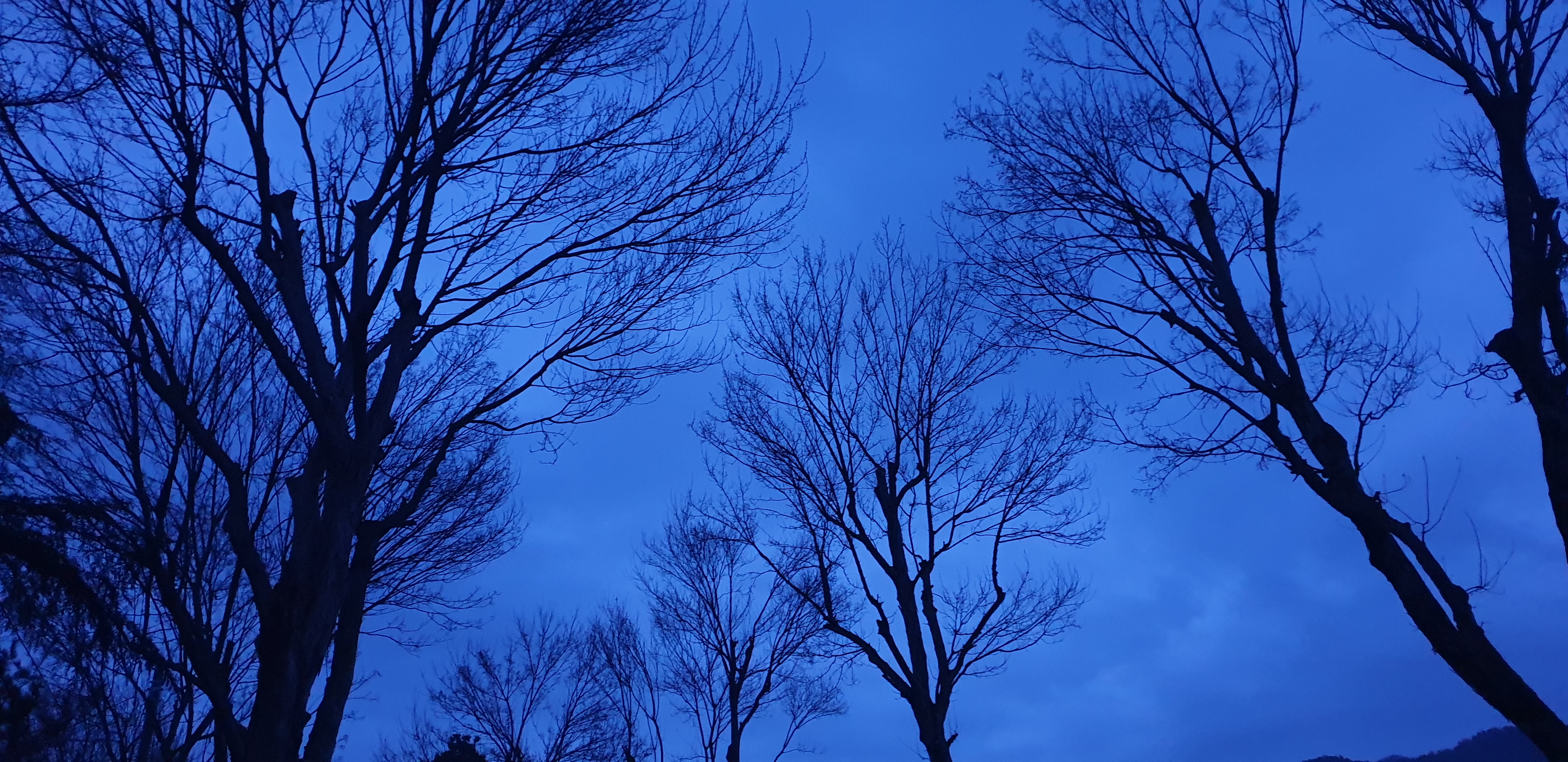 20220320_061912.jpg